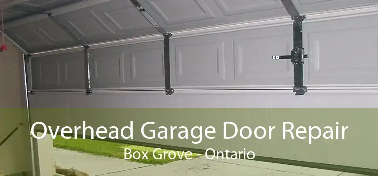 Overhead Garage Door Repair Box Grove - Ontario