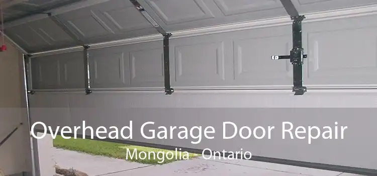 Overhead Garage Door Repair Mongolia - Ontario