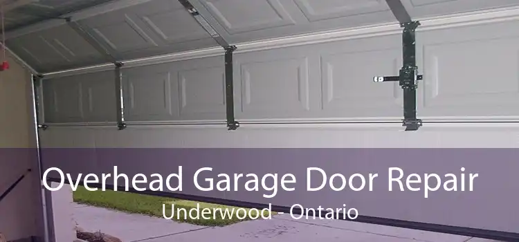 Overhead Garage Door Repair Underwood - Ontario