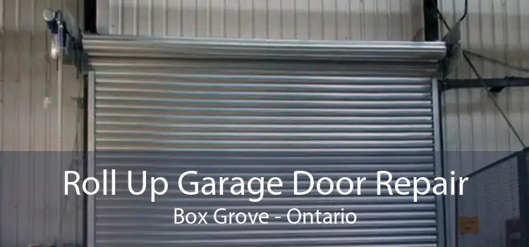 Roll Up Garage Door Repair Box Grove - Ontario
