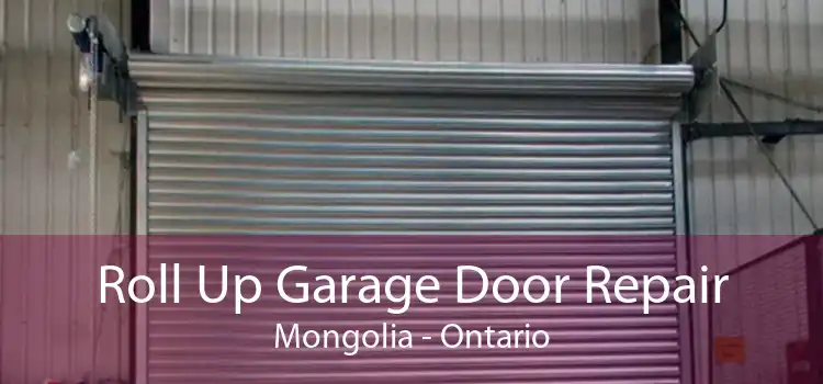 Roll Up Garage Door Repair Mongolia - Ontario