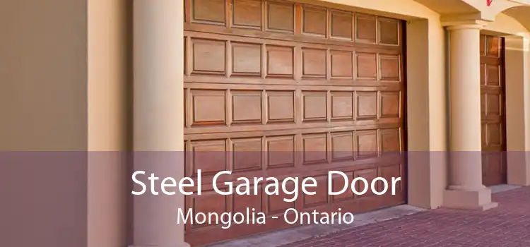 Steel Garage Door Mongolia - Ontario